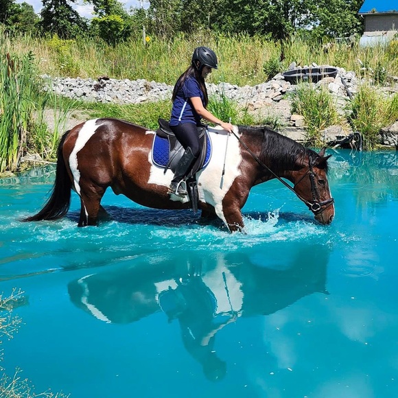 Meet your Posher, Hanna - Picture 1 of 1